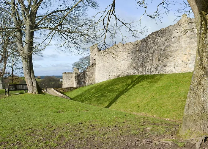 Little Fox Ferienhaus *